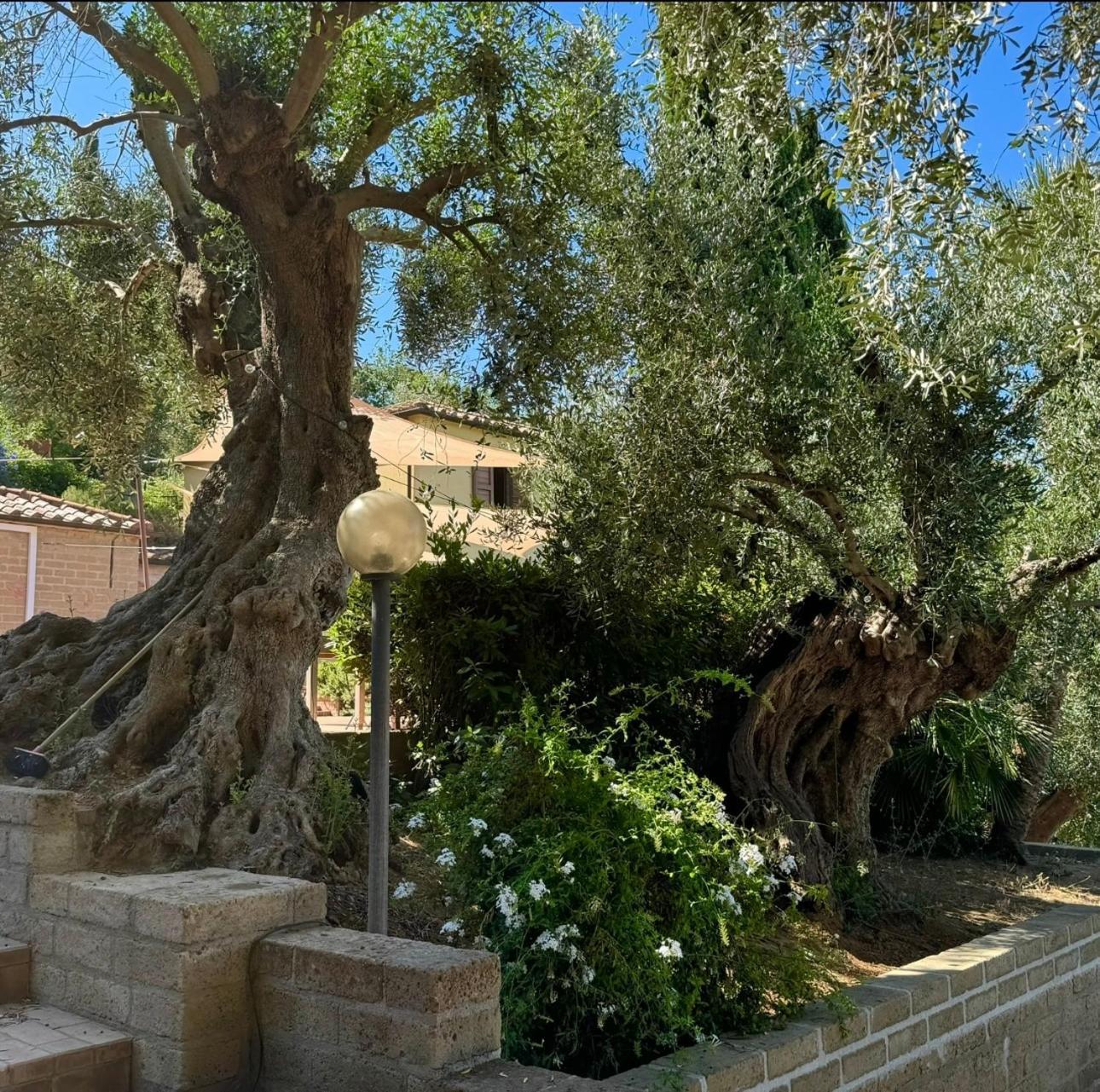Madonna Del Poggio Cav Apart otel Scarlino Dış mekan fotoğraf