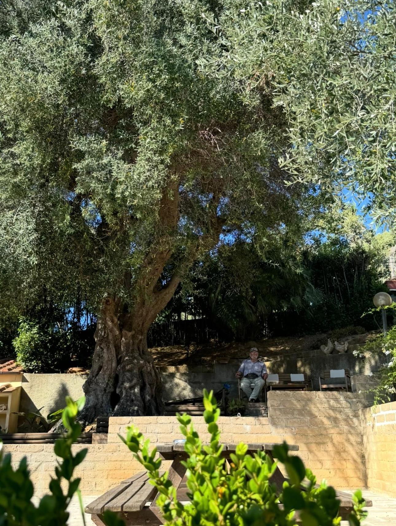 Madonna Del Poggio Cav Apart otel Scarlino Dış mekan fotoğraf
