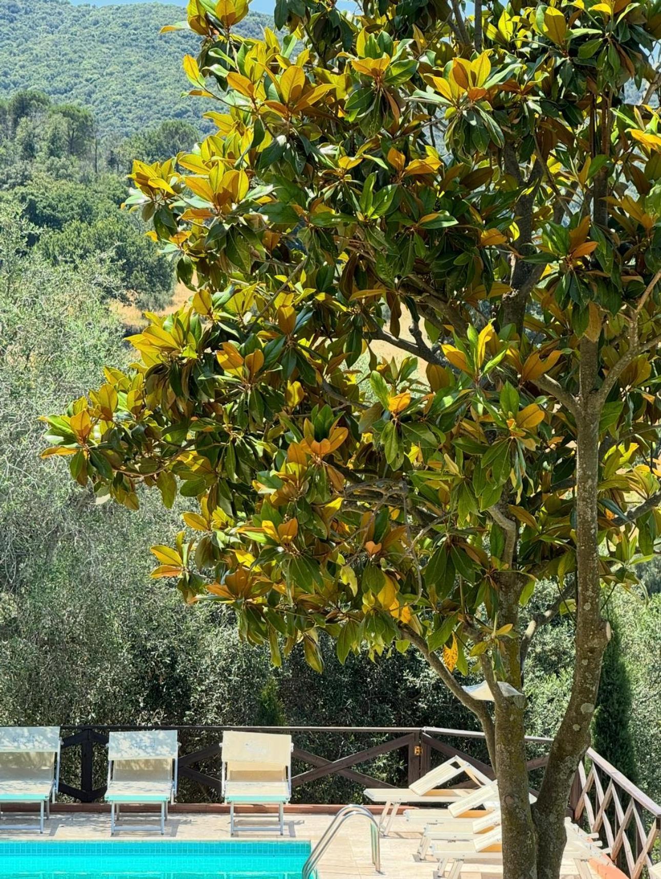 Madonna Del Poggio Cav Apart otel Scarlino Dış mekan fotoğraf